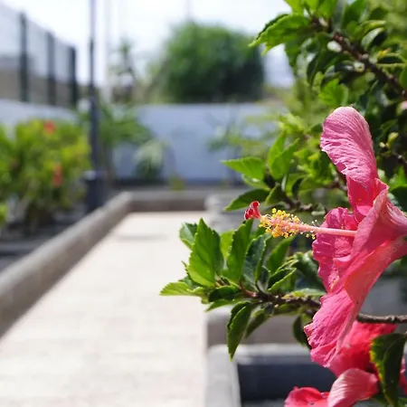Magmamia Apartmán Puerto del Carmen (Lanzarote)